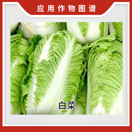 Lanyue Lanyue Benfu 0.004% brassinolide cabbage growth regulator 1L