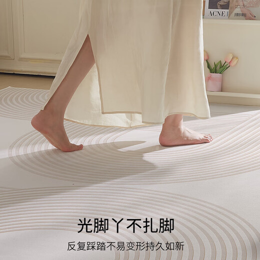 布迪思地毯卧室大面积满铺家用客厅毯沙发茶几轻奢防滑毯简约可定制地毯 现代6210【加厚圈绒】 定制【联系客服】