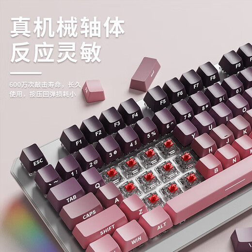 前行者TK870无线蓝牙机械键盘鼠标套装有线三模可选黑莓侧刻高颜值客制化办公游戏电脑笔记本平板iPad用 银白正刻87键白光【有线键盘】 青轴【清脆手感】