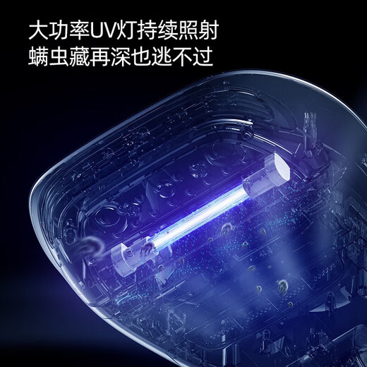 ApiYoo Trend Electric Light and Heat Dual Effect Mite Remover Dual Vibration Handheld Bed Mite Remover Household Vacuum Cleaner CM1000