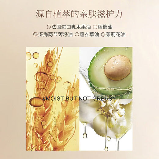 AARYE Annoya Hand Cream Yew Vanilla Gift Box 55g Moisturizing and Moisturizing Birthday Gift for Girls on Holidays