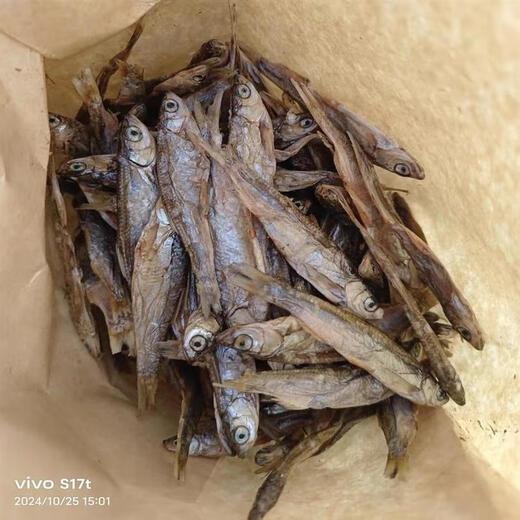 Yusenyi helps pets dried small river fish cat snacks pet freeze-dried spring fish cat food nutrition teething sticks freeze-dried spring fish 100g subject to the weight of the option