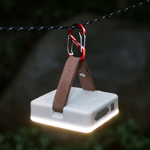 Naturehike挪客户外多功能8字登山扣铝合金S型水壶灯包挂扣挂钥匙挂钩链接环 红色/中号（2个装）