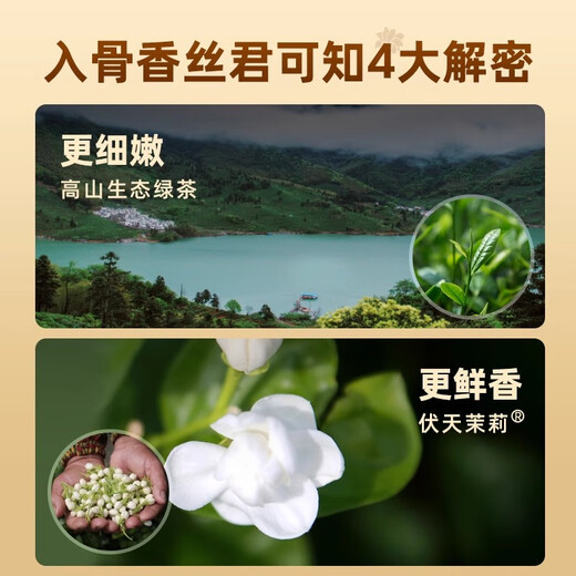 艺福堂茶叶 茉莉花茶 茉莉香珠龙珠新花特种级七窨浓香横县自己喝200g