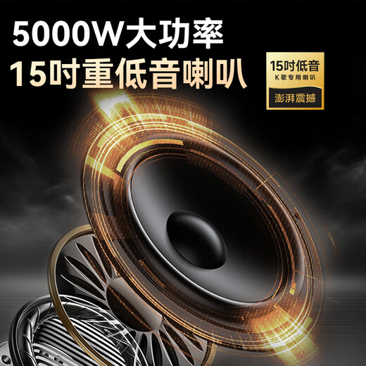 夏新（Amoi）家庭ktv音箱套装ok-60抖音2025年新款家用户外点唱机卡拉ok功放一体机广场舞音响带显示屏动态谱 【三低音】七分频15吋重低音25喇叭500G内存