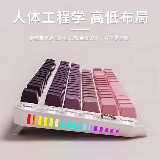前行者TK870无线蓝牙机械键盘鼠标套装有线三模可选黑莓侧刻高颜值客制化办公游戏电脑笔记本平板iPad用 银白正刻87键白光【有线键盘】 青轴【清脆手感】
