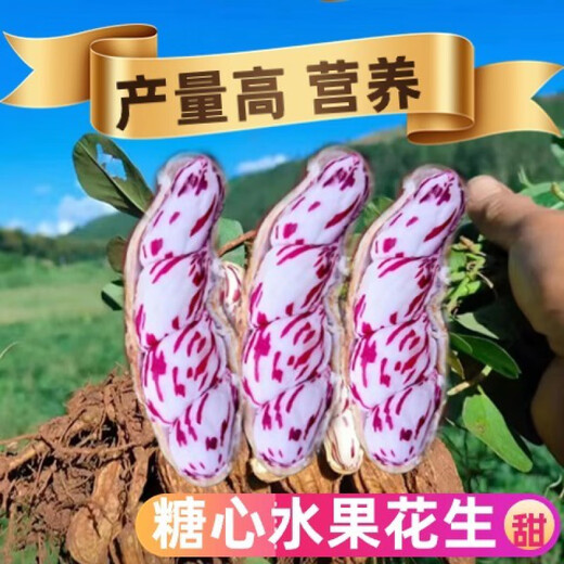 Candied Fruit Peanut Seeds Colorful Peanut Seeds Shelled Fresh Peanut Seeds Colorful Peanut Seeds Candied Fruit Peanut Seeds 1Jin Jin is equal to 0.5kg Selected Shelled