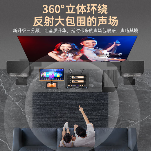 Hyundai Modernes Heimkino -Gesangsmaschine KTV Audio Set Hochleistungsverstärker Karaoke Haushalt Sang Karaoke Ausrüstung Wohnzimmer Konferenzraum Karton Lautsprecher Lautsprecher