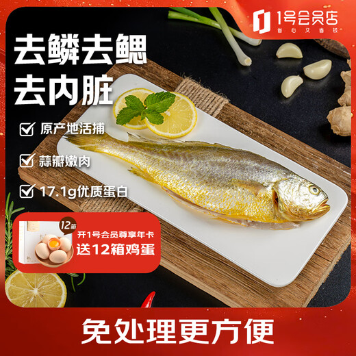 Member Store No. 1 Ningde Sanguai Yellow Croaker, net weight 2Jin Jin is equal to 0.5kg / 4 large yellow croakers, deep sea fish, frozen seafood and aquatic products, fresh