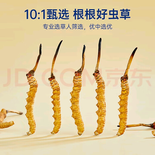 
Cordyceps sinensis (SF Express direct delivery) Tibetan high-altitude Cordyceps sinensis gift box high-end atmospheric and high-end Naqu Cordyceps 4 1 gram 50 pieces pack 2 pieces