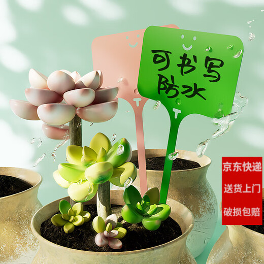 Shipton nursery flower pot plastic succulent label flower gardening ground brand potted plant name sign waterproof small plug card purple 100 pieces (9.6cm)