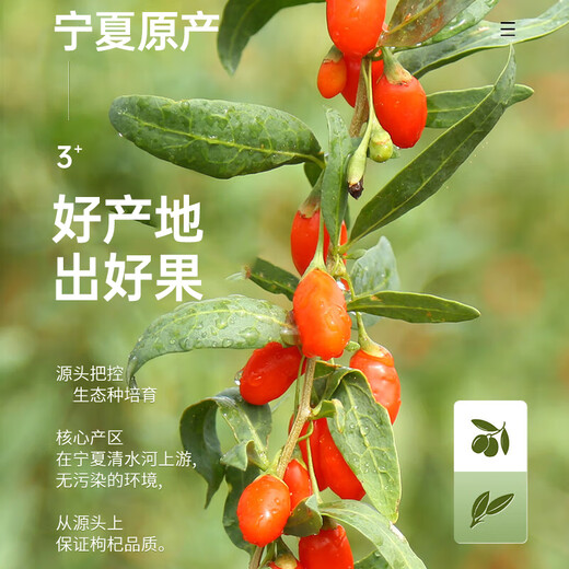 
Ning'anbao Ningxia wolfberry authentic, special grade wolfberry large pellet canned, gifts from elders, Ningxia wolfberry 500g [250g*2 cans]