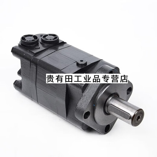 Hydraulic motor BMS/BM5 low speed and high torque BMSY 80 100 125 160 200 250 315 40 BMSY (BMS) 315