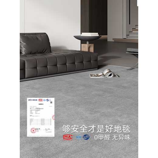 轻仙可拆洗地毯客厅地毯轻奢高级感免洗2025新款免洗可擦加厚灰色地垫 冬岩-16780 140cm*200cm【新升级防水丝】