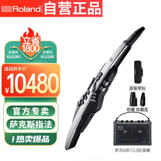 Roland (Roland) Haarrohr AE30 Professioneller Wind Elektronische Saxophon Multifunktionales Blasen und Spielen + Klavierbeutel + MB-Lautsprecher