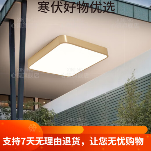 心镜全铜户外吸顶灯别墅大门口门前灯室外过道阳台灯防蚊虫庭 X3893-500/方形