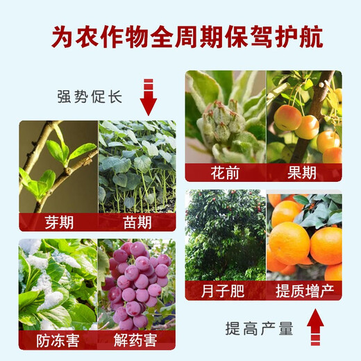 Plasma protein leaf fat fish protein amino acid fruit tree vegetable coloring beautiful fruit germination and seedling increase production water-soluble fertilizer Australian brand 1200g * 12 bottles