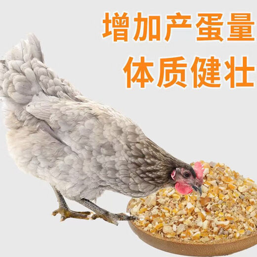 Factory direct sales 80 Jin Jin equal to 0.5 kg layer hen feed for hens, egg laying broiler fattening pellets, full price nesting breeding special 40 Jin Jin equal to 0.5 kg layer hen feed