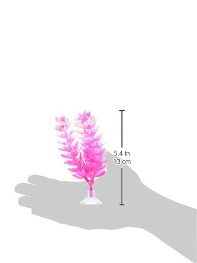 MARINA Vibrascaper 鱼缸装饰 狐狸尾植物 白色 12.7 厘米 12083