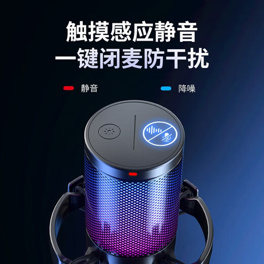 Maono computer microphone game live recording box microphone noise reduction usb mobile phone desktop notebook radio microphone karaoke microphone DM20 wired condenser microphone DM20 white (disc type)