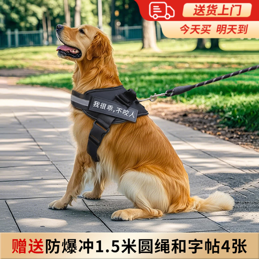 Bei Chuzhong dog leash, large dog leash, dog leash, dog leash, dog leash, medium-sized dog, large dog, golden fur border shepherd leash, dog harness - free leash * 1 copybook * 4, black L - suitable for 35-65 Jin, equal to 0.5 kg, large dog, explosion-proof chest harness - lightweight, non-neck-reflective strip