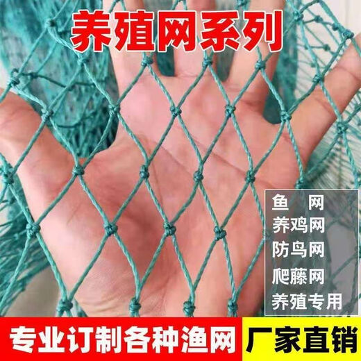 Fishing net custom-made pulling net lifting net cage partition fish net anti-bird net chicken net mesh polyethylene full 6 strands 2 cm side length mesh one yuan coin size 1 meter wide 10 meters long (the length can be superimposed)