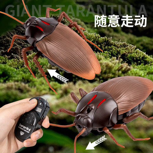 Delixin Internet Celebrity Induction populaire Cockroach électrique Jouets pour enfants garçons et petites filles Technologie noire Prank Décompression Artefact Créativité [Mini Version - Cockroach d'induction] Brown 9902A + Tournevis [Version de luxe] Another + 36 Electronics