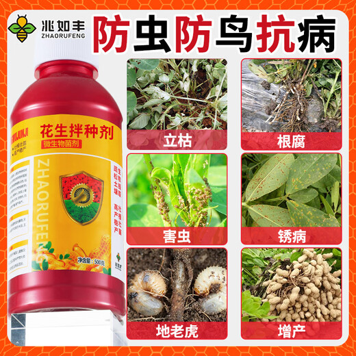 Zhaorufeng peanut seed dressing agent, germination and rooting prevention, insect prevention, disease prevention, antibacterial, high-yield coating agent, microbial agent fertilizer, 500g, 40 bottles, whole box special offer (40 packs free)