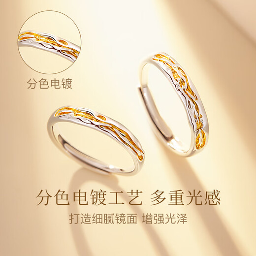 GLTEN Couple's Silver Ring Couple's Light Luxurious and High-end Niche Women's Birthday Gift for Girlfriend and Wife