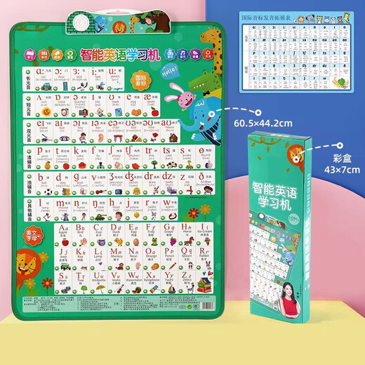 Children's English Enlightenment 48 Phonetic Symbols Pronunciation Audio Wall Chart English Alphabet Word Spelling J M English Learning Machine-Battery Gift Box Pack
