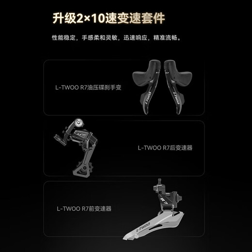 喜德盛公路自行车2025款AD300铝架20速油压碟刹破风弯把竞技单车 白蛇 【整车发货】 540mm