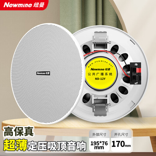 纽曼（Newmine）R20 吸顶音响套装蓝牙定压功放机公共广播家用客厅商用会议店铺背景喇叭嵌入式隐藏吊顶音箱一拖四