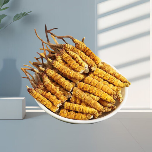 【支持质检】虫草大断草正宗冬虫夏草断草虫草断草自食滋补正品 正宗藏区虫草大断虫草 10克装送一克发11克