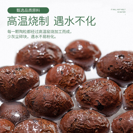 Stanley large ceramsite bottom flower pot special flower pot pavement succulent flower planting terracotta particles gardening ceramsite soil 5L