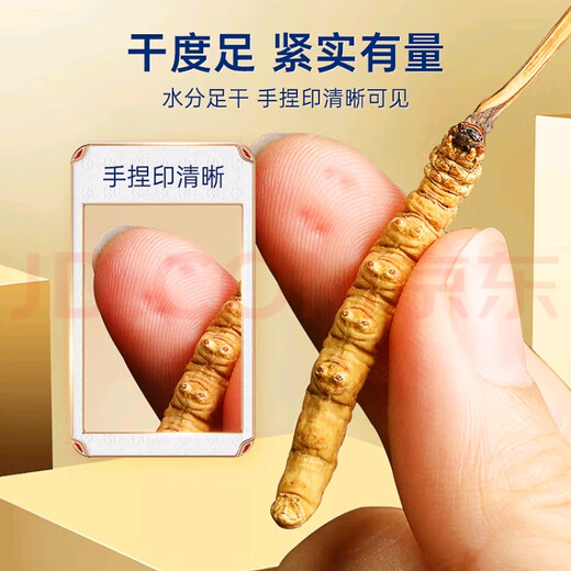 
Cordyceps sinensis (SF Express direct delivery) Tibetan high-altitude Cordyceps sinensis gift box high-end atmospheric and high-end Naqu Cordyceps 4 1 gram 50 pieces pack 2 pieces