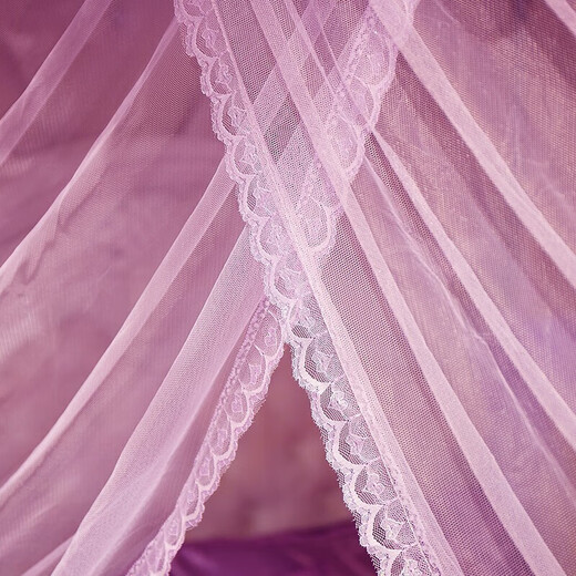 Nanjiren Mosquito Net Three Doors Bold Bracket Palace Floor Top Household Mosquito Net 1.5 Meters