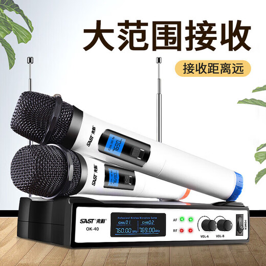 先科（SAST）家庭影院套装5.1声道音响落地组合家用功放机音箱客厅影院电视客厅影音室麦克风款