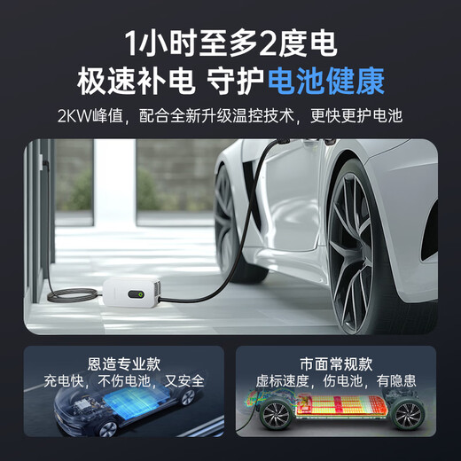 Enzao 9-hole DC 2KW portable car charging gun household new energy charging pile suitable for Geely Panda mini Hongqi eqm5 Venucia Big V remote Star Enjoy 2KW charging gun (adapted to Panda mini models)