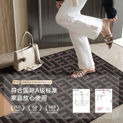 溥畔入户地垫玄关轻奢感进门门口入门地毯耐脏门垫门外脚垫 朝暮-14109 80cm*160cm