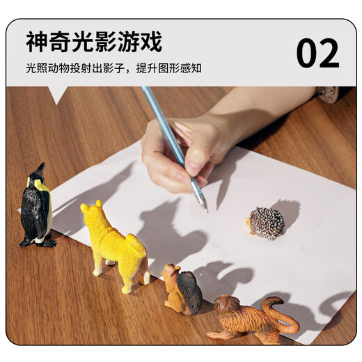 Baileson animal model toy children's early education gift box 3-6 years old boy and girl animal world cognitive set birthday gift