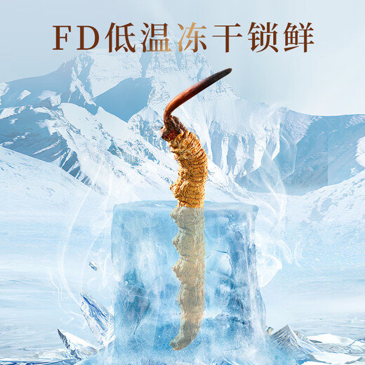 Story nutritionnel Cordyceps Cordyceps Boîte-cadeau sélectionnée de haute qualité Plein sans herbe Broken Grass Nouvel An Cadeaux Festival pour l'auto-utilisation [Selected and Body] Broken Grass 5G