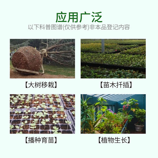 Laianping'an 50% indole butyric acid naphthalene acetic acid grape fruit tree poplar growth regulator to promote rooting and improve survival rate