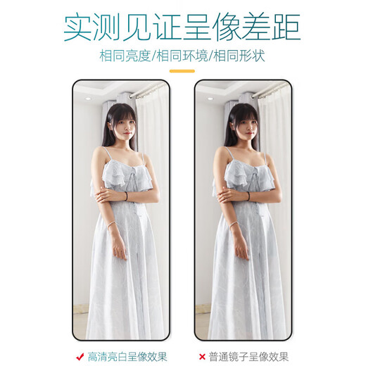 穿衣镜 全身落地镜试衣镜家用防爆壁挂衣帽间铝合金网红大镜子 165*60穿衣镜落地镜