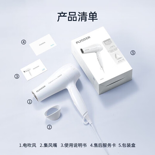 FLYCO 飞科电吹风机家用吹风筒速干恒温冷热风学生宿舍可折叠大功率电吹风筒 FH6232【恒温6档调节 2000W】