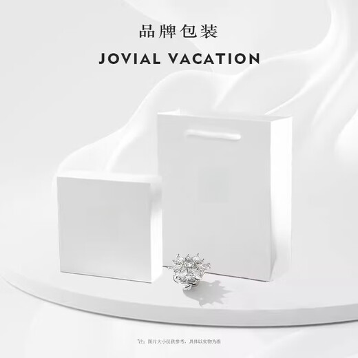 Shijun (SHIJUN) 2025 new brooch, high-end men's suit, light luxury design, niche crystal zirconium crystal zircon hexagram brooch