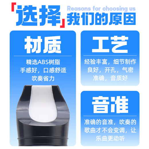 东方鼎（EAST TOP）德式竖笛8孔小学生专用儿童成人初学八孔笛子乐器入门黑色