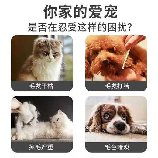 Oh Oh Bear dog knot-opening spray, special detangling agent for knotted pet hair, Teddy Bichon hair fluffy and smooth conditioner 2 bottles to nourish hair