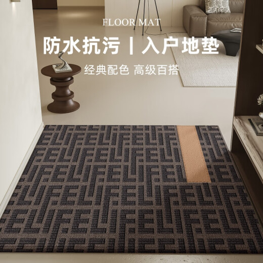 溥畔入户地垫玄关轻奢感进门门口入门地毯耐脏门垫门外脚垫 朝暮-14109 80cm*160cm