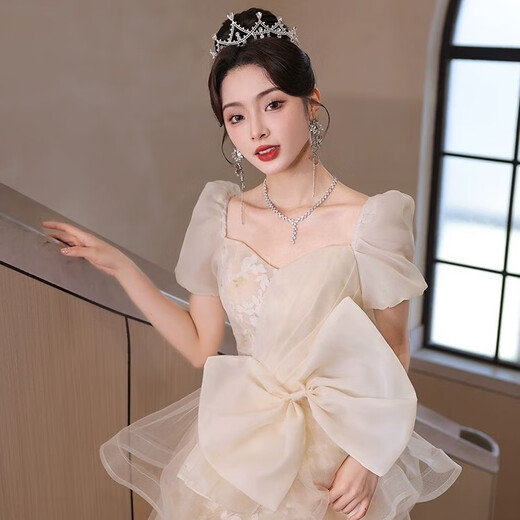 丽佰昕晚礼服裙轻奢小众高端宴会女气质高级感绝美艺考主持人年会成人礼 香槟色 L 建议105-110斤
