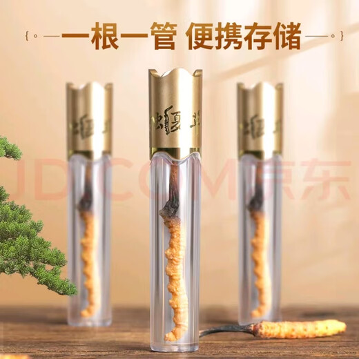 藏芝翁高海拔冬虫夏草精选头茬干虫草高端滋补礼盒送长辈送领导送客户 3根/克共20克【商务超值虫草礼盒】